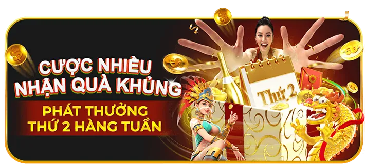 Các chương trình khuyến mãi và ưu đãi